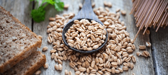 Chicchi di cerali integrali per il pane